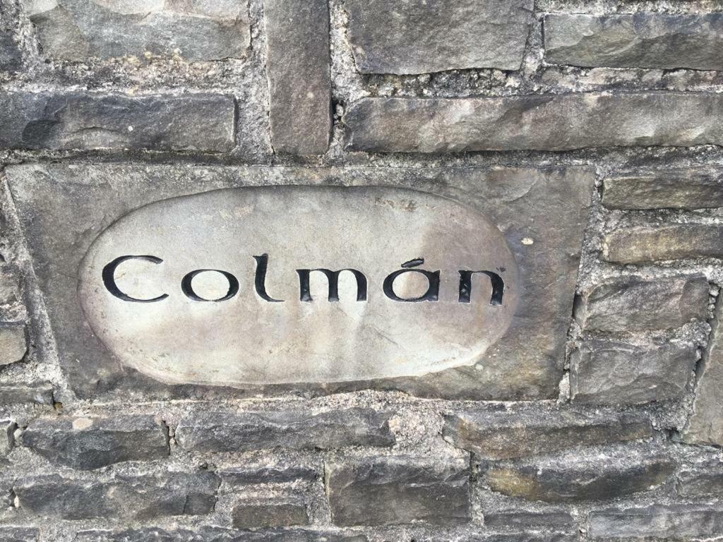 KilmihilColman House住宿加早餐旅馆 外观 照片